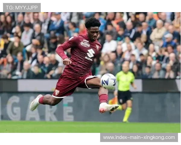 诺丁汉森林收编意甲老将